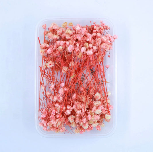Baby Breath Dry Flower