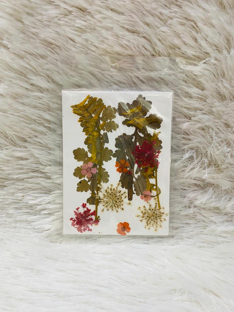 12 in 1 Pressed Dried Flower