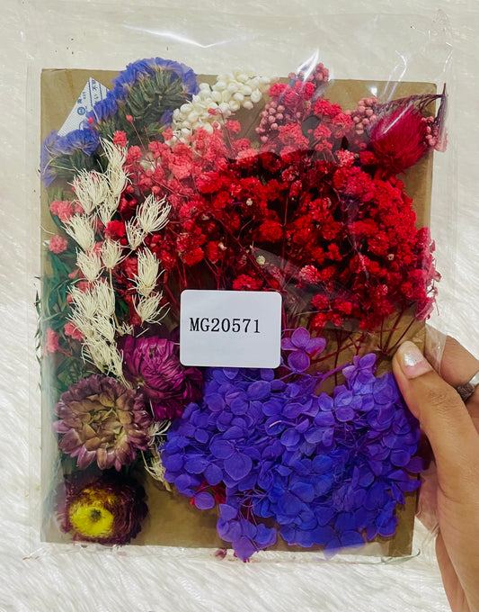 Mix Dry Flowers Pack (J)