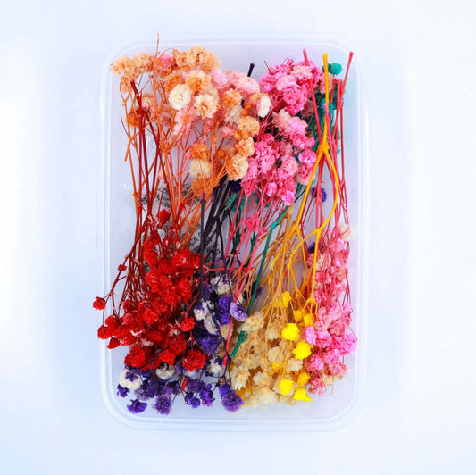 Baby Breath Dry Flower