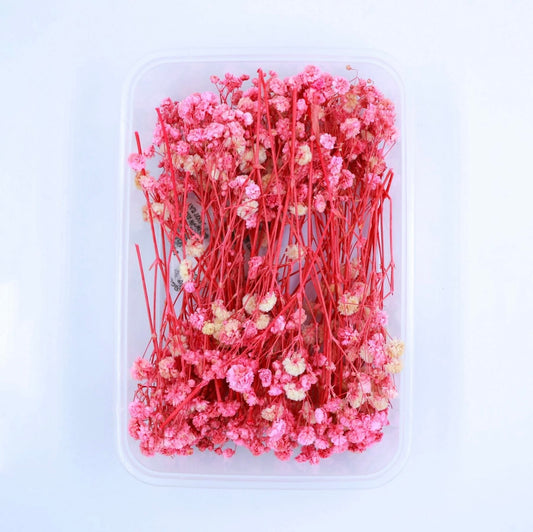 Baby Breath Dry Flower