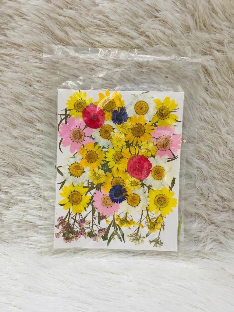 36 in 1 Pressed Dried Flowers (A)