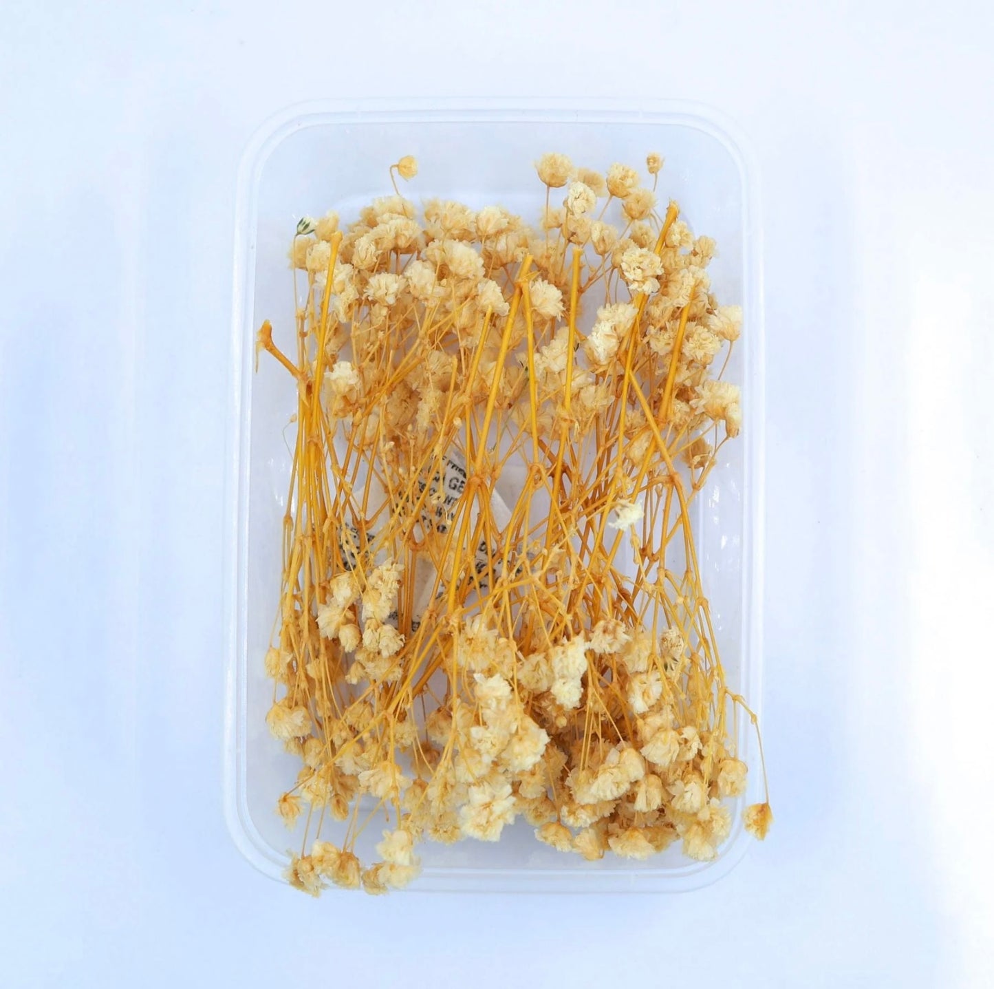 Baby Breath Dry Flower