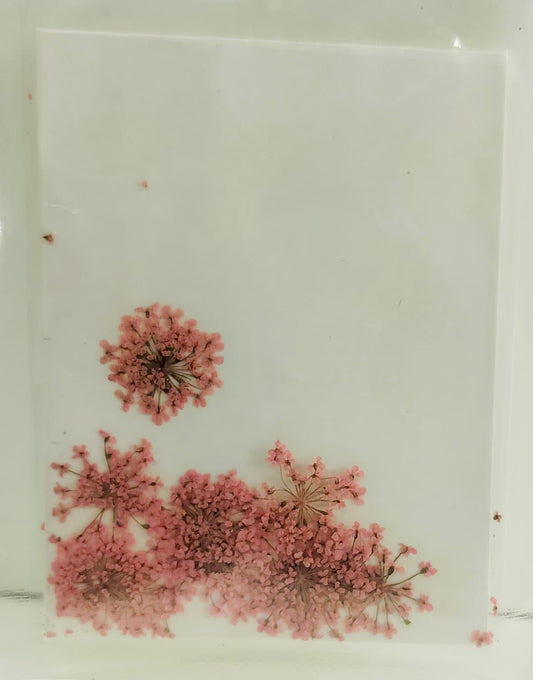 Light Pink Baby Breath