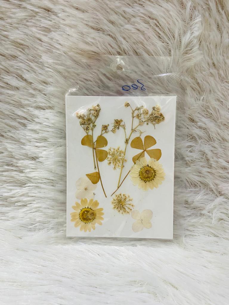 12 in 1 Pressed Dried Flower