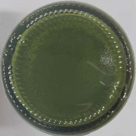 Olive Green Opaque Resin Pigment 20 Gram