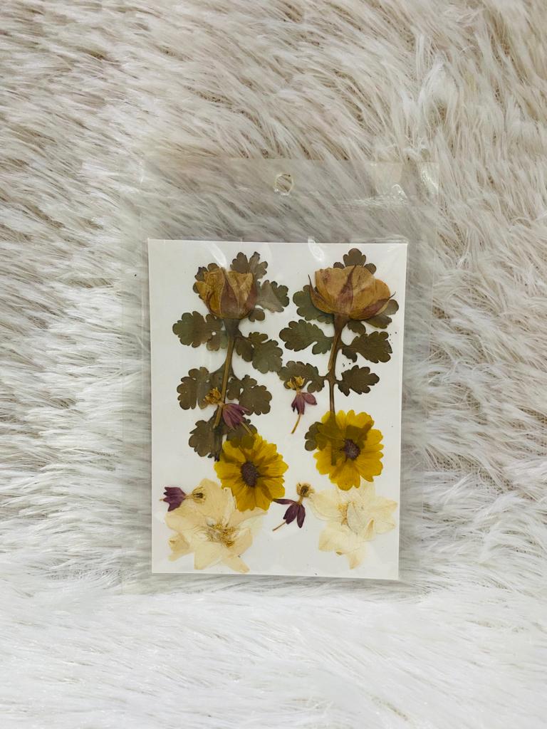 12 in 1 Pressed Dried Flower