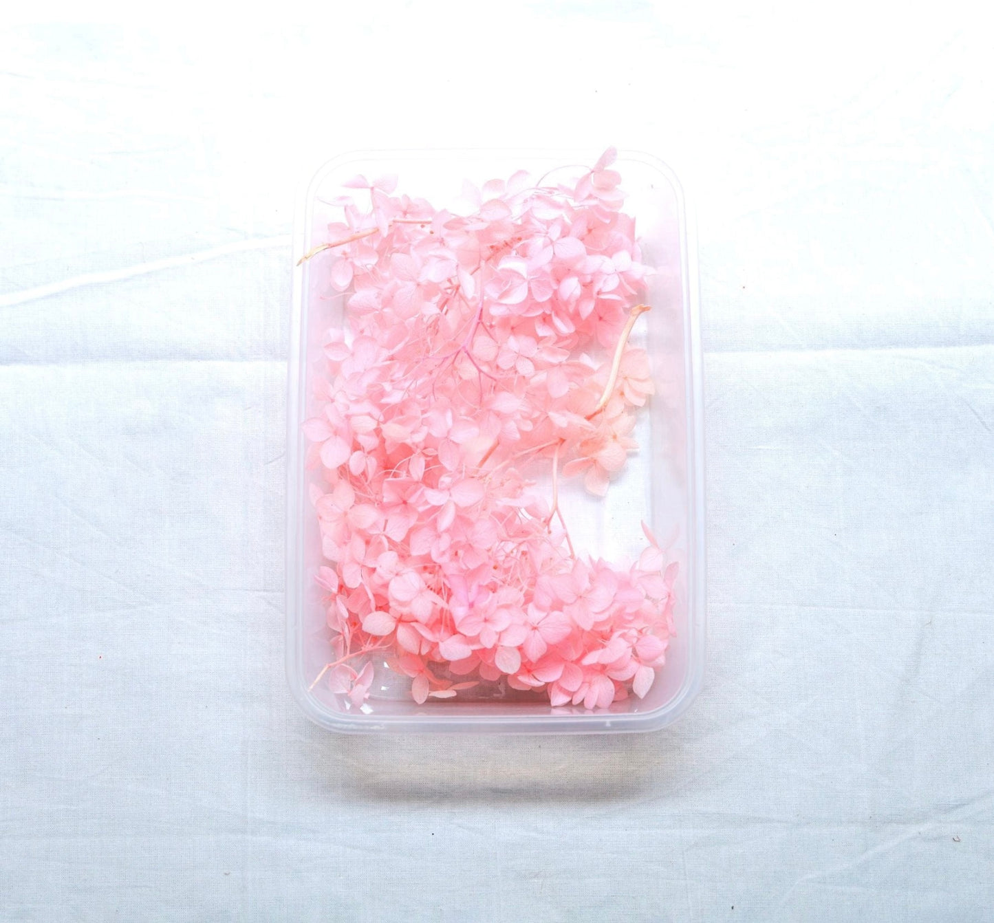 Hydrangea Dry Flower