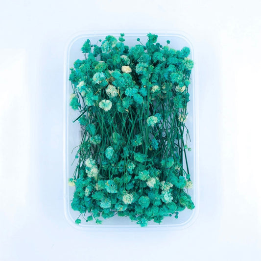 Baby Breath Dry Flower