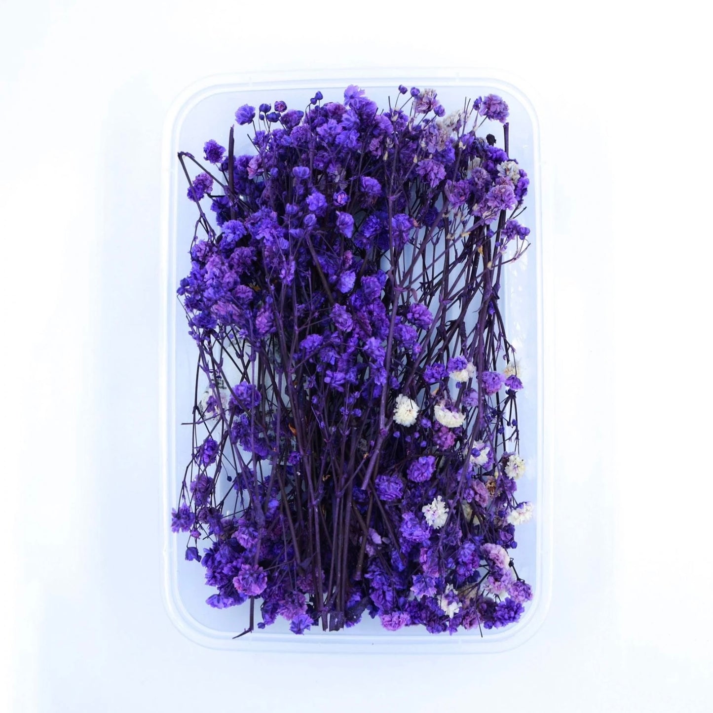 Baby Breath Dry Flower