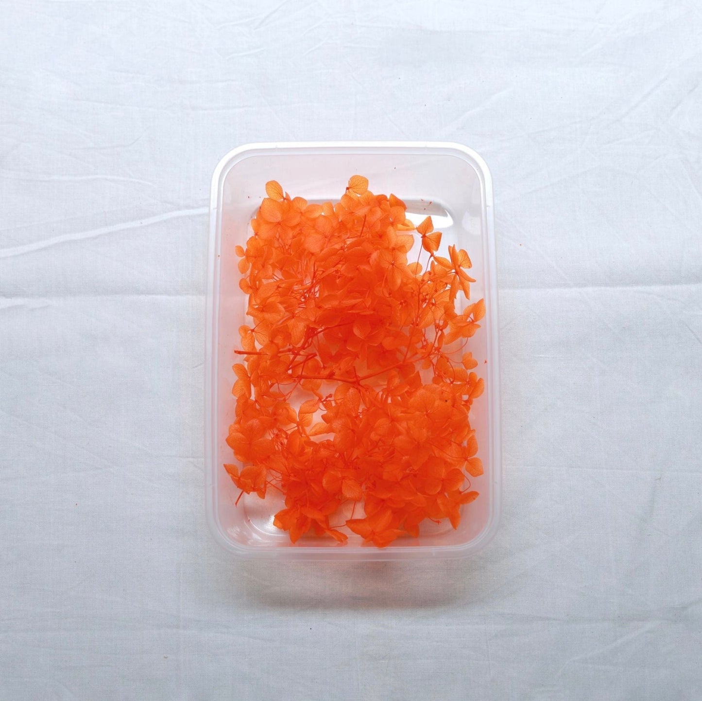 Hydrangea Dry Flower