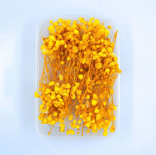 Baby Breath Dry Flower