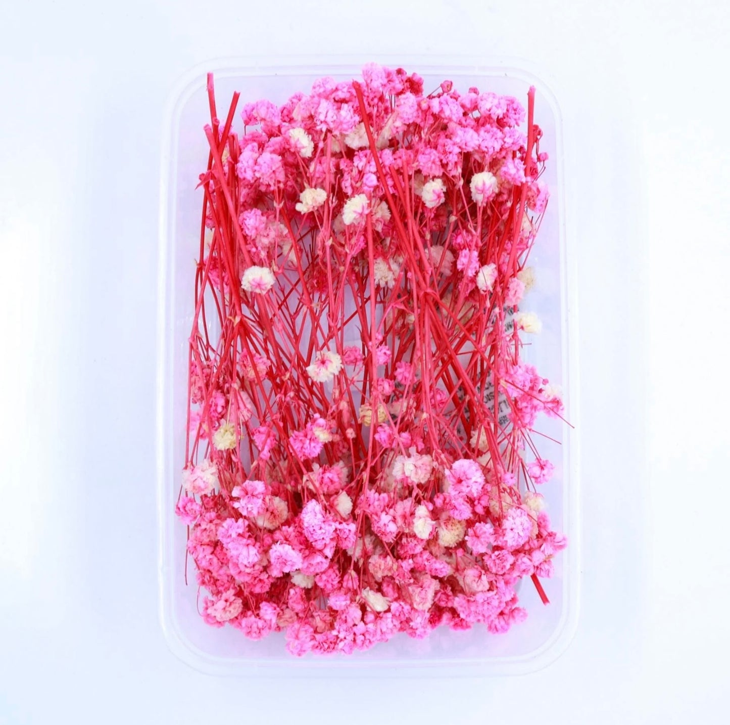 Baby Breath Dry Flower