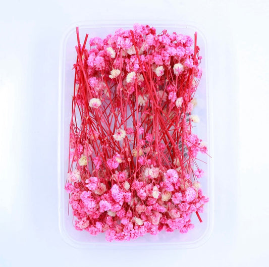 Baby Breath Dry Flower