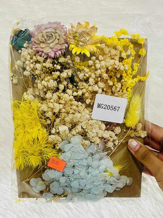 Mix Dry Flowers Pack (G)