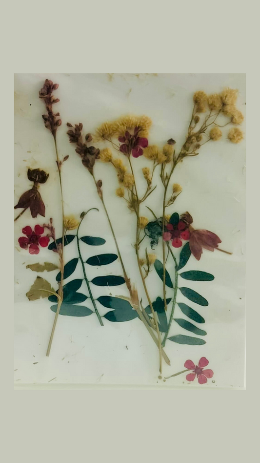 12 in 1 Pressed Flower (A)