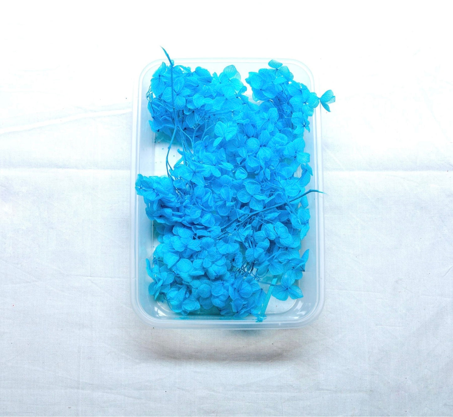 Hydrangea Dry Flower