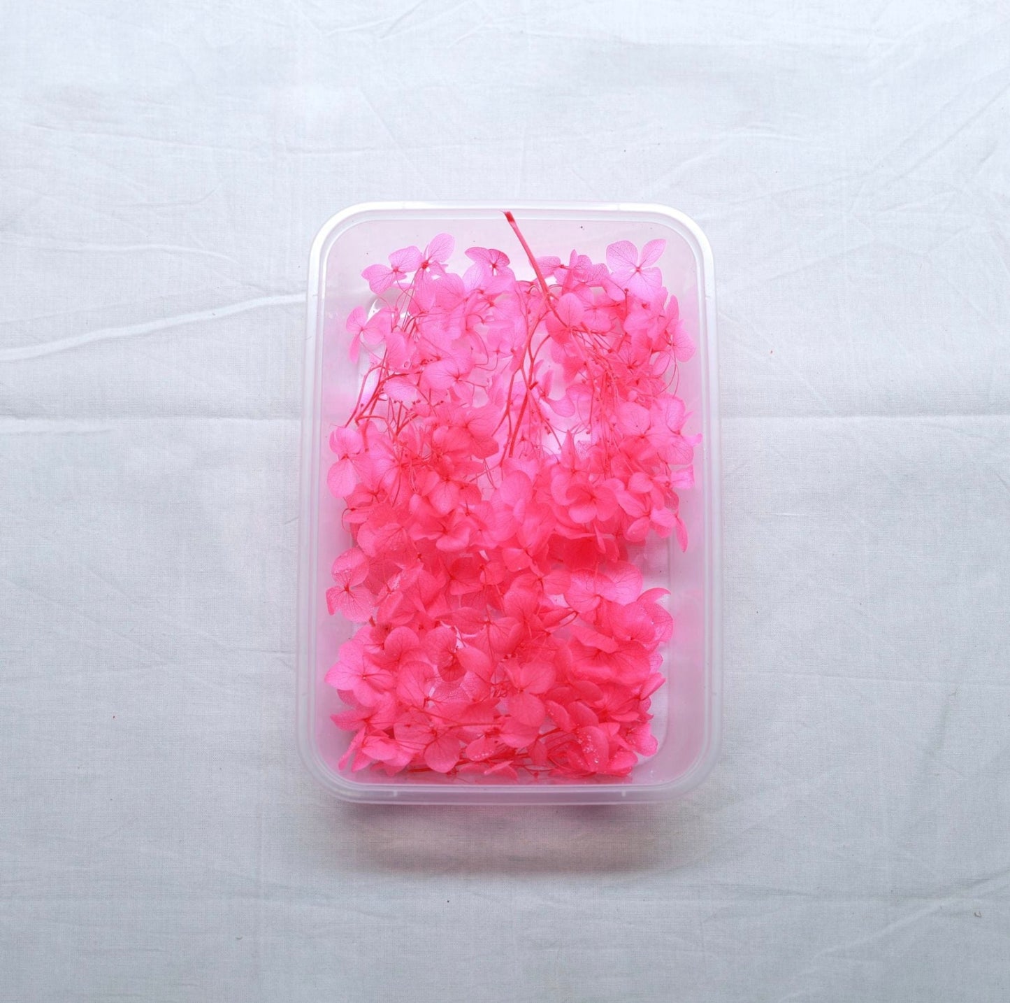 Hydrangea Dry Flower