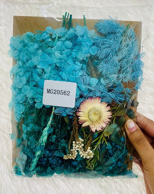 Mix Dry Flowers Pack (B)