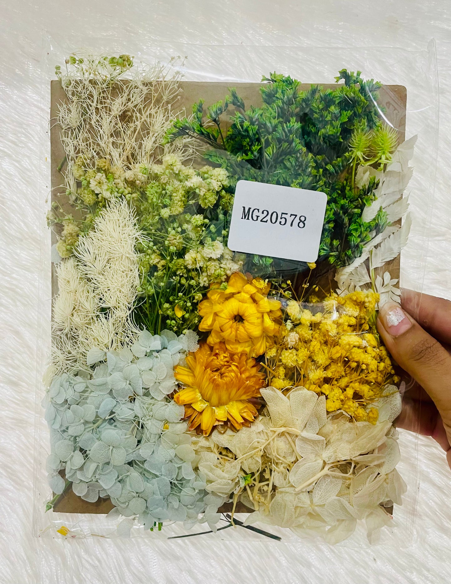 Mix Dry Flowers Pack (C)