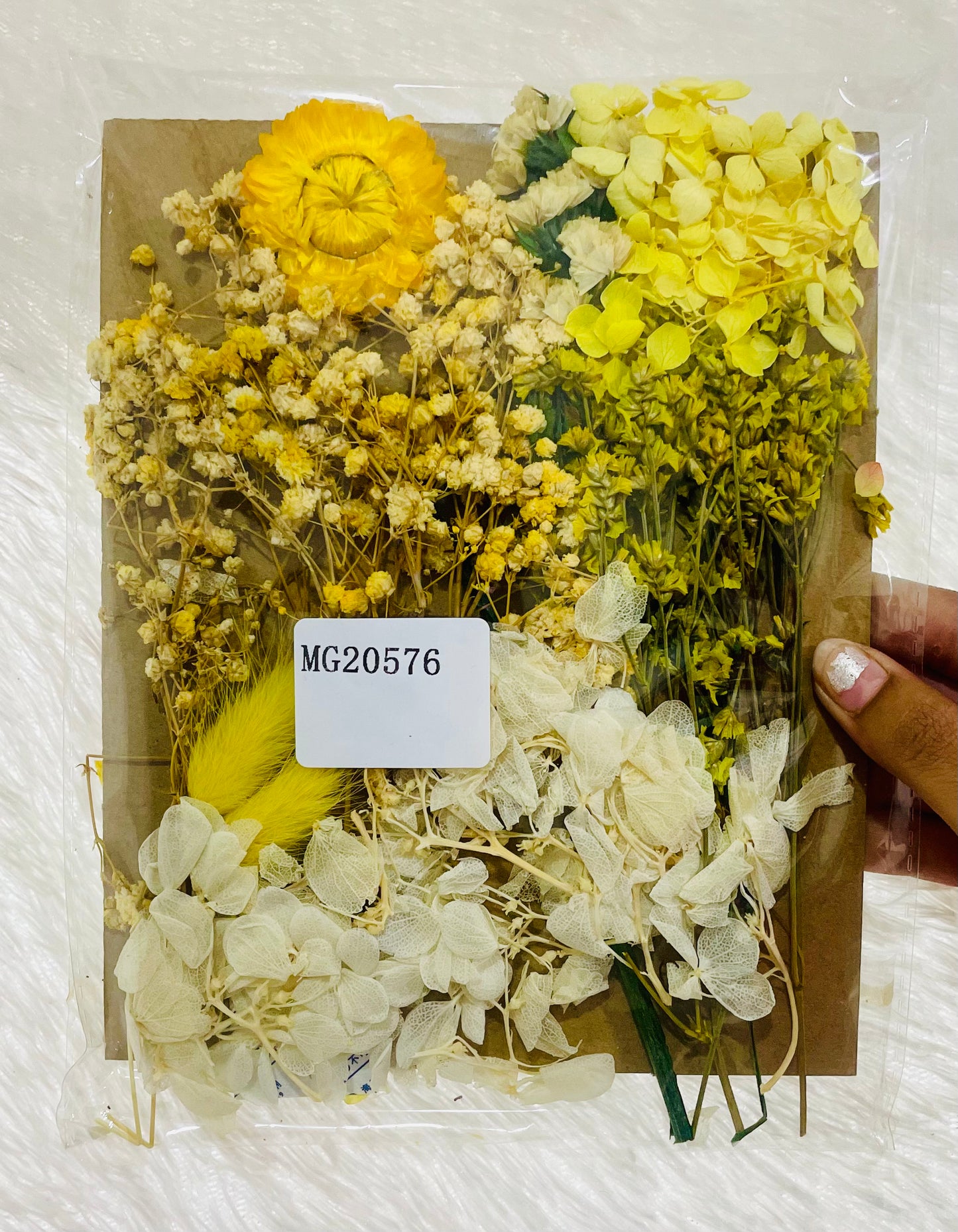 Mix Dry Flowers Pack (F)