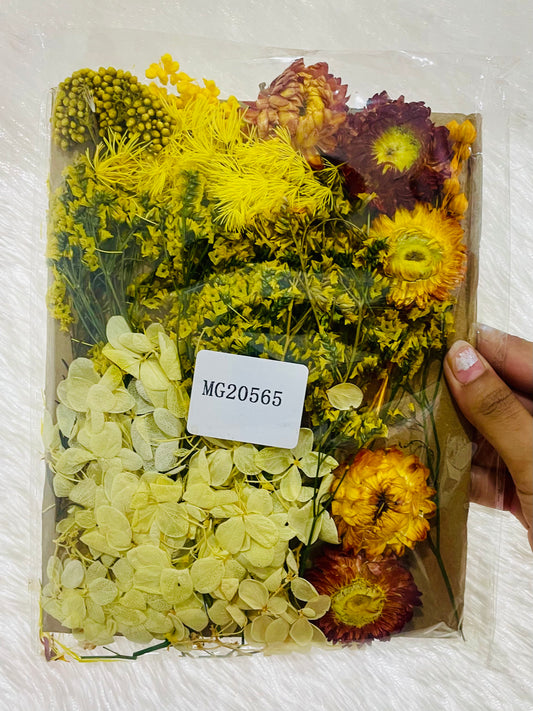 Mix Dry Flowers Pack (E)