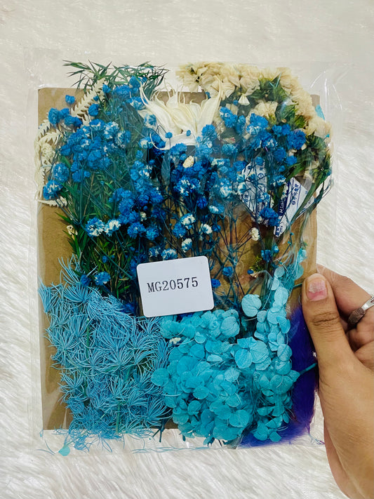 Mix Dry Flowers Pack (N)
