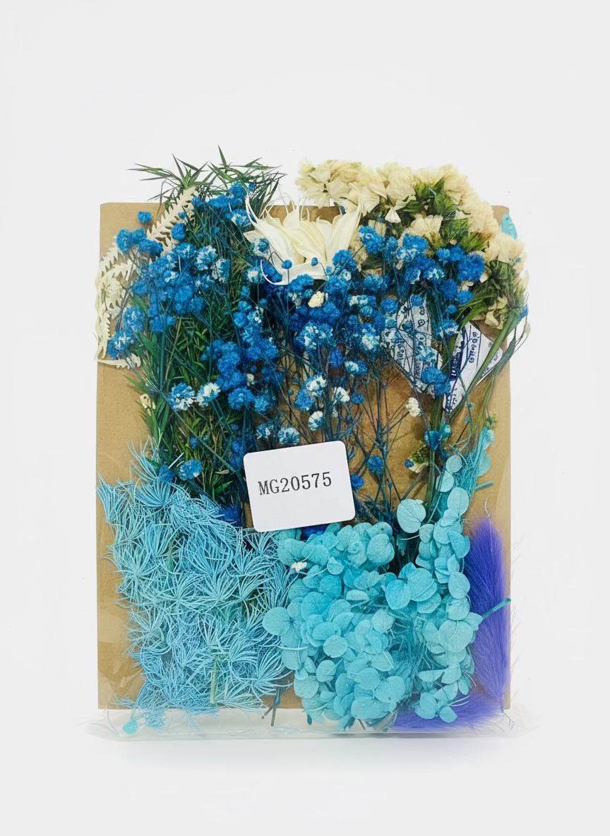 Mix Dry Flowers Pack (N)