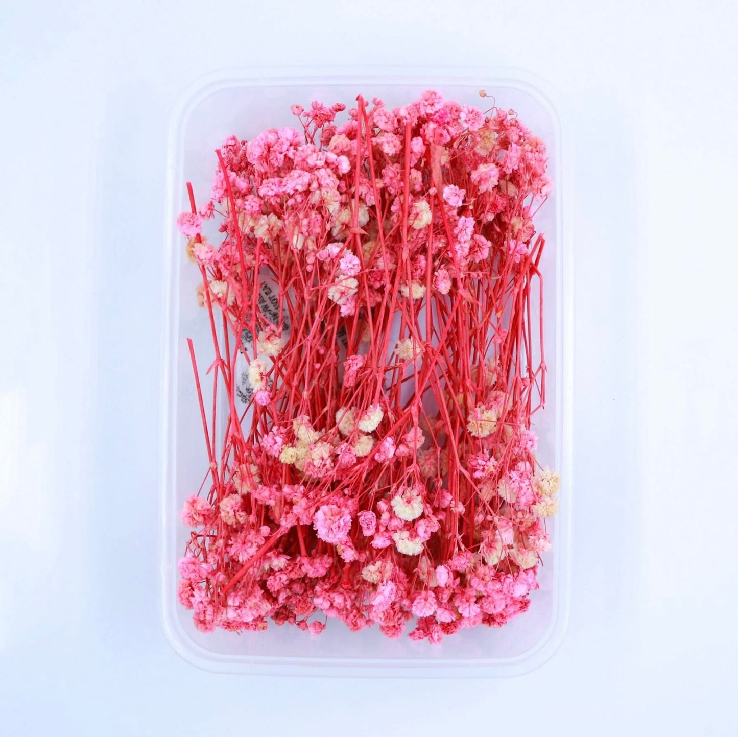 Baby Breath Dry Flower