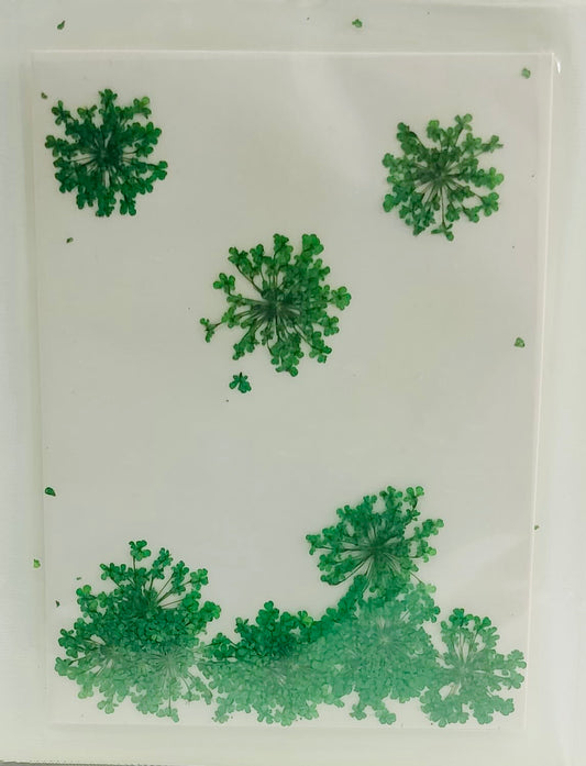 Green Baby Breaths