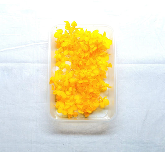 Hydrangea Dry Flower