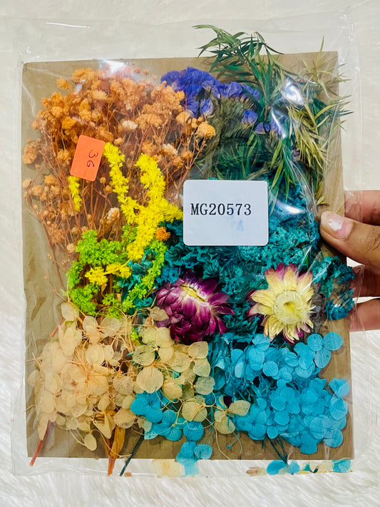 Mix Dry Flowers Pack (M)