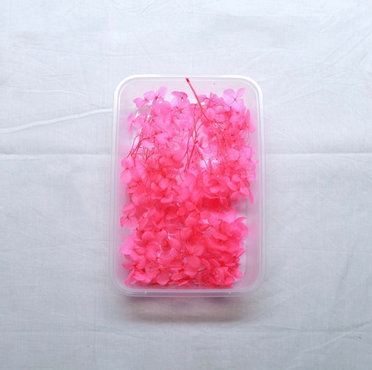 Hydrangea Dry Flower